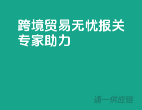 跨境贸易无忧，报关专家助力