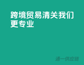 跨境贸易清关，我们更专业