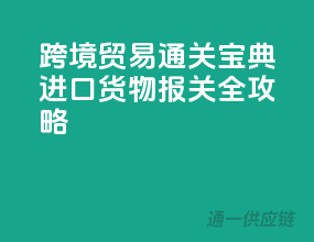 跨境贸易通关宝典：进口货物报关全攻略