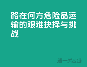 路在何方：危险品运输的艰难抉择与挑战