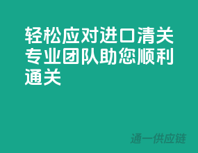 轻松应对进口清关，专业团队助您顺利通关！
