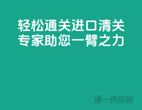 轻松通关，进口清关专家助您一臂之力！