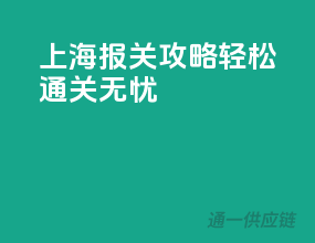 上海报关攻略：轻松通关无忧