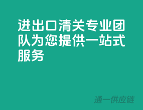 进出口清关，专业团队为您提供一站式服务
