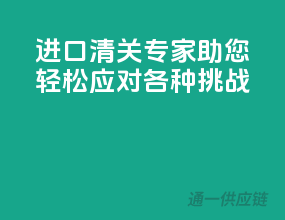 进口清关专家，助您轻松应对各种挑战