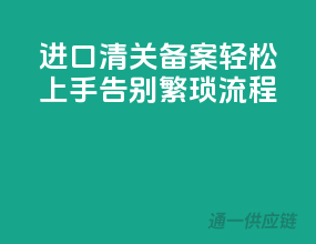进口清关备案，轻松上手，告别繁琐流程