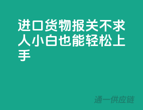 进口货物报关不求人：小白也能轻松上手