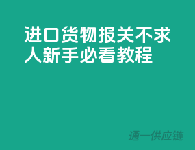 进口货物报关不求人：新手必看教程