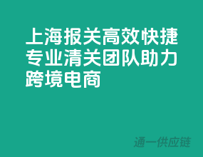 上海报关高效快捷，专业清关团队助力跨境电商