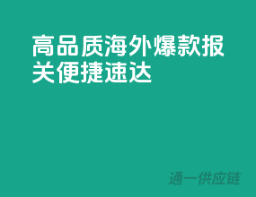 高品质海外爆款，报关便捷速达