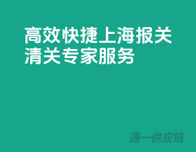 高效快捷，上海报关清关专家服务