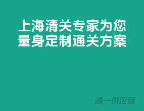 上海清关专家，为您量身定制通关方案