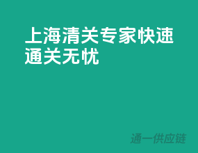 上海清关专家，快速通关无忧