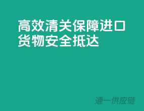 高效清关，保障进口货物安全抵达