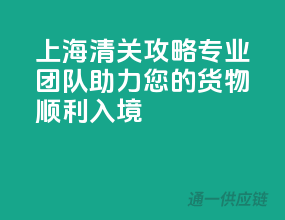 上海清关攻略，专业团队，助力您的货物顺利入境