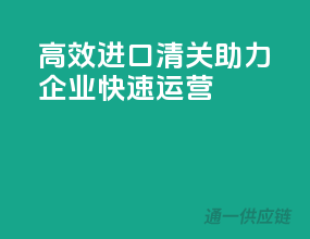高效进口清关，助力企业快速运营