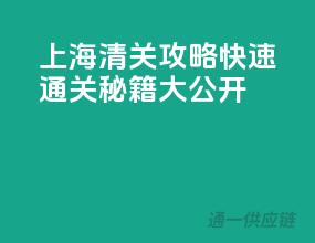 上海清关攻略：快速通关秘籍大公开