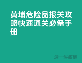黄埔危险品报关攻略：快速通关必备手册