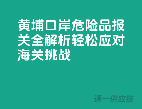 黄埔口岸危险品报关全解析，轻松应对海关挑战