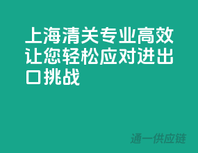 上海清关，专业高效，让您轻松应对进出口挑战