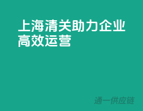 上海清关，助力企业高效运营
