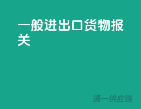 一般进出口货物报关
