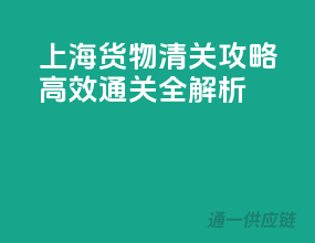 上海货物清关攻略：高效通关全解析
