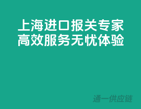 上海进口报关专家，高效服务无忧体验