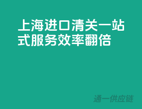 上海进口清关一站式服务，效率翻倍！
