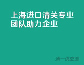 上海进口清关，专业团队助力企业