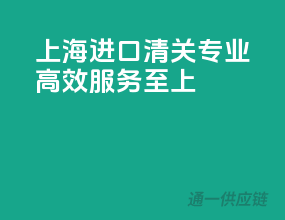 上海进口清关，专业高效，服务至上