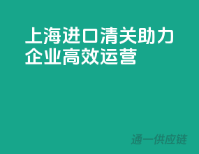 上海进口清关，助力企业高效运营