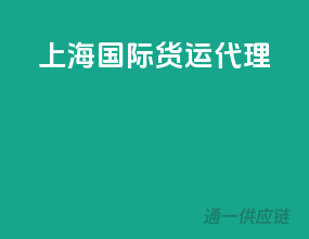 上海 国际货运代理