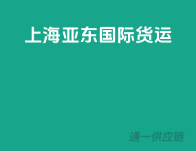 上海亚东国际货运