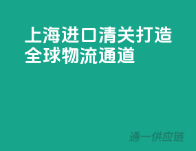 上海进口清关，打造全球物流通道