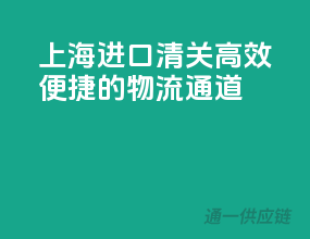 上海进口清关，高效便捷的物流通道