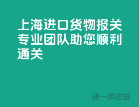 上海进口货物报关，专业团队助您顺利通关