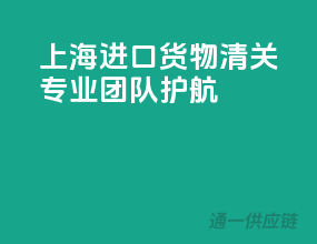上海进口货物清关，专业团队护航
