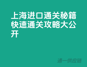 上海进口通关秘籍，快速通关攻略大公开！