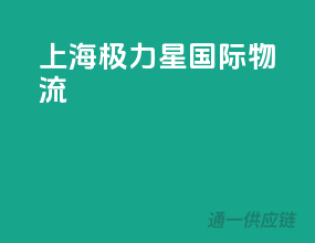 上海极力星国际物流