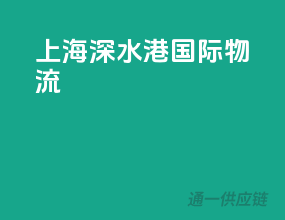 上海深水港国际物流