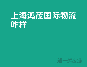 上海鸿茂国际物流咋样