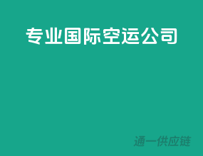 专业国际空运公司