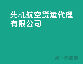 先机航空货运代理有限公司