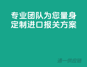 专业团队为您量身定制进口报关方案！