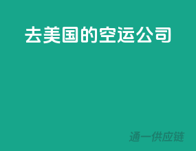 去美国的空运公司