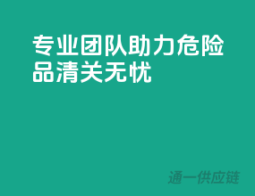 专业团队助力，危险品清关无忧