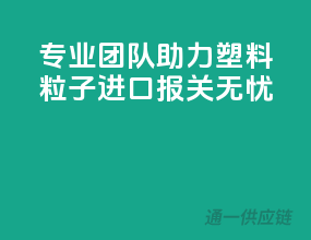 专业团队助力，塑料粒子进口报关无忧