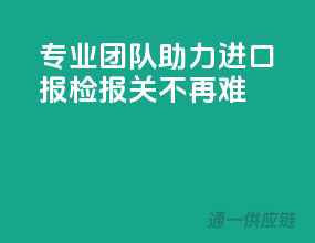 专业团队助力，进口报检报关不再难