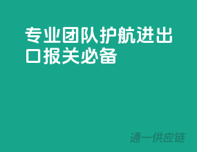 专业团队护航，进出口报关必备